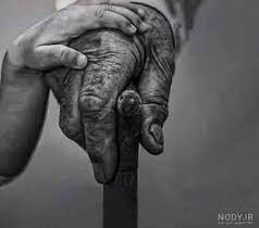 گمشده در گردوغبار بروکراسی