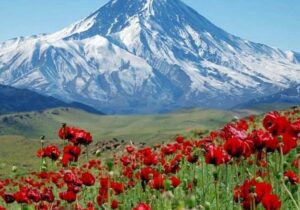 قله‌ای در محاصره دوربین‌ها